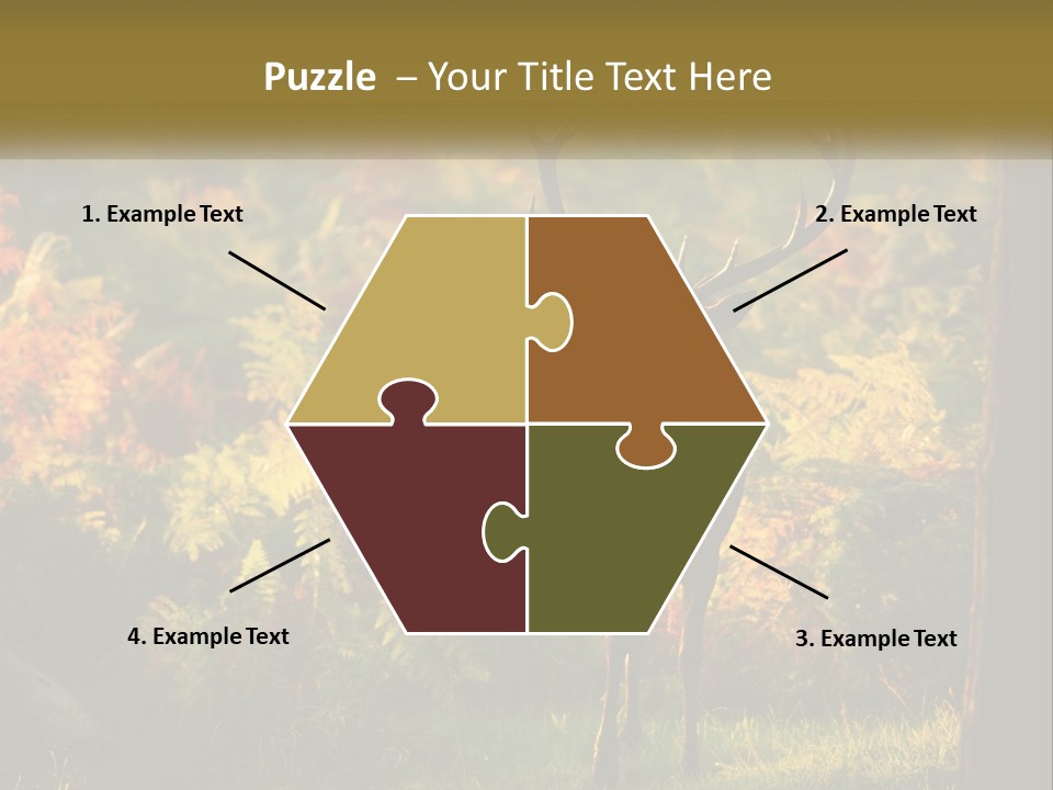A Deer Standing In The Middle Of A Forest PowerPoint Template