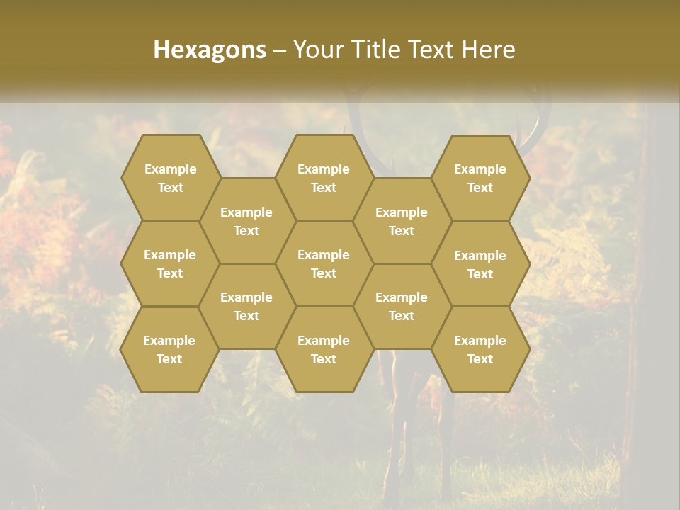 A Deer Standing In The Middle Of A Forest PowerPoint Template