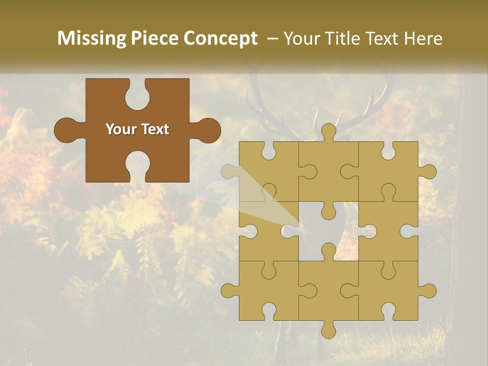 A Deer Standing In The Middle Of A Forest PowerPoint Template