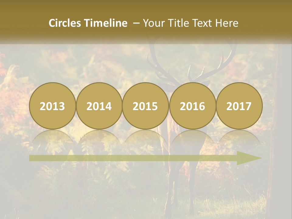 A Deer Standing In The Middle Of A Forest PowerPoint Template