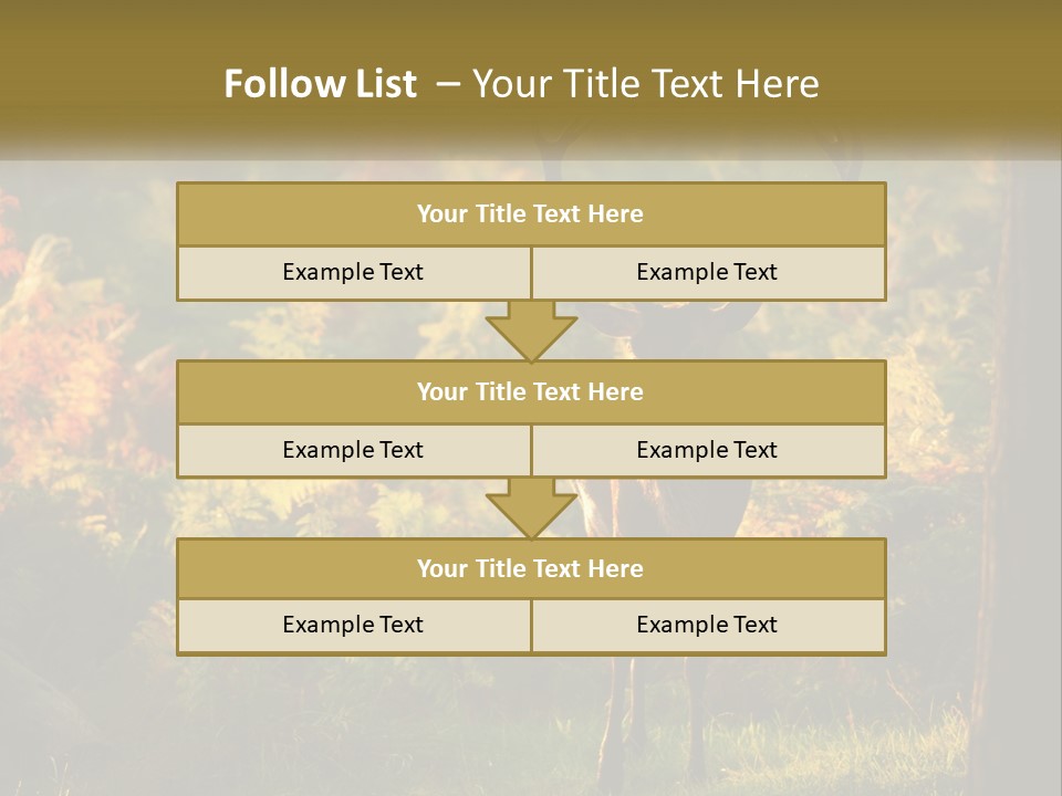 A Deer Standing In The Middle Of A Forest PowerPoint Template