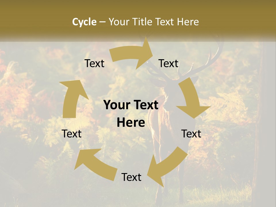 A Deer Standing In The Middle Of A Forest PowerPoint Template