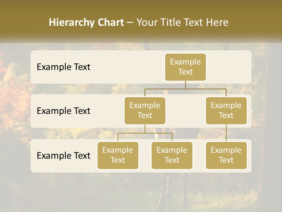 A Deer Standing In The Middle Of A Forest PowerPoint Template