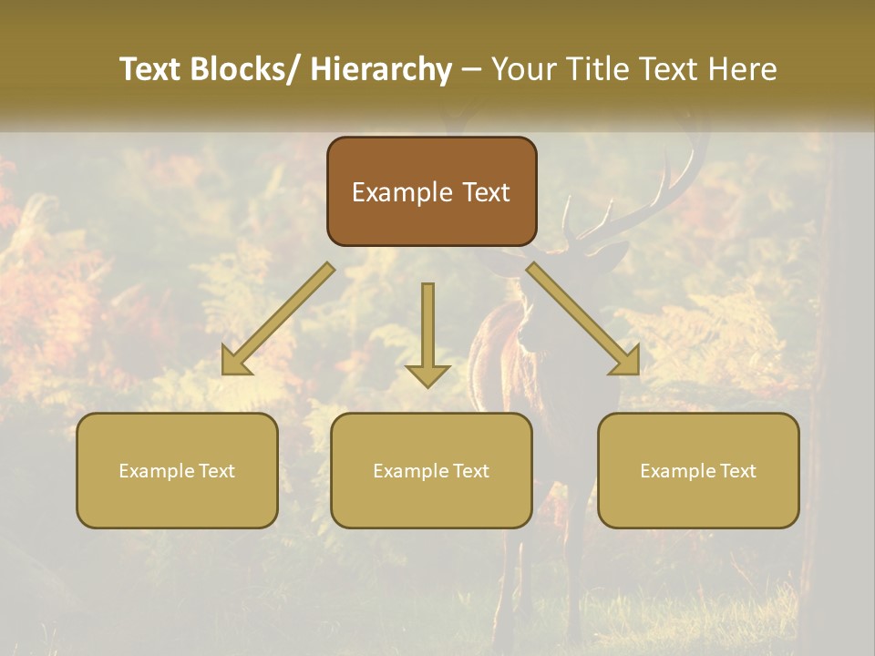 A Deer Standing In The Middle Of A Forest PowerPoint Template