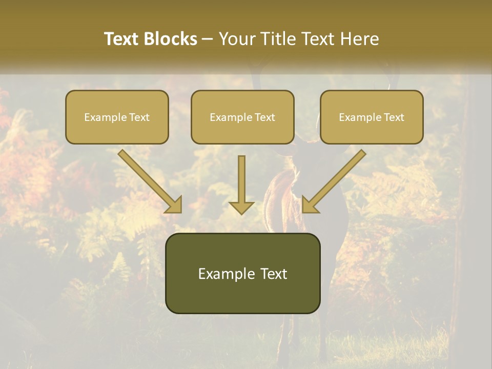A Deer Standing In The Middle Of A Forest PowerPoint Template