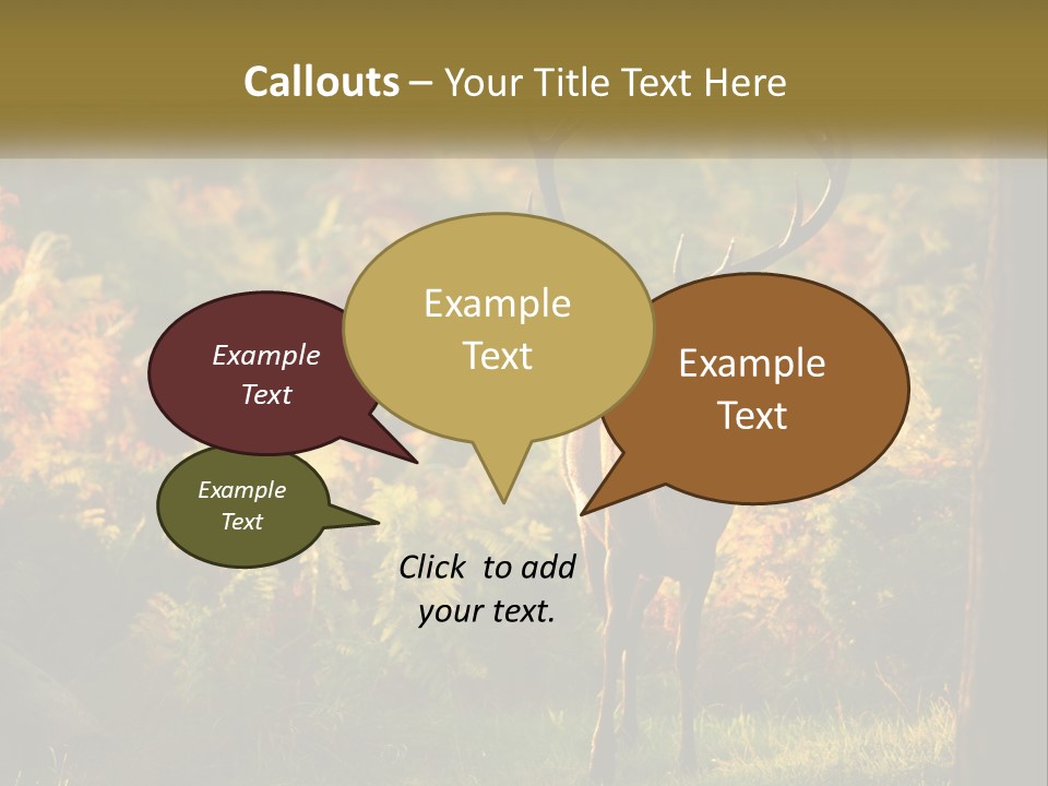 A Deer Standing In The Middle Of A Forest PowerPoint Template