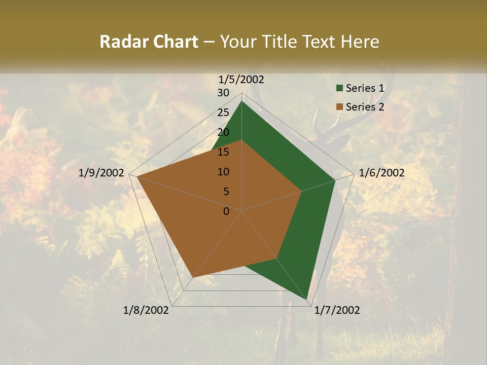A Deer Standing In The Middle Of A Forest PowerPoint Template