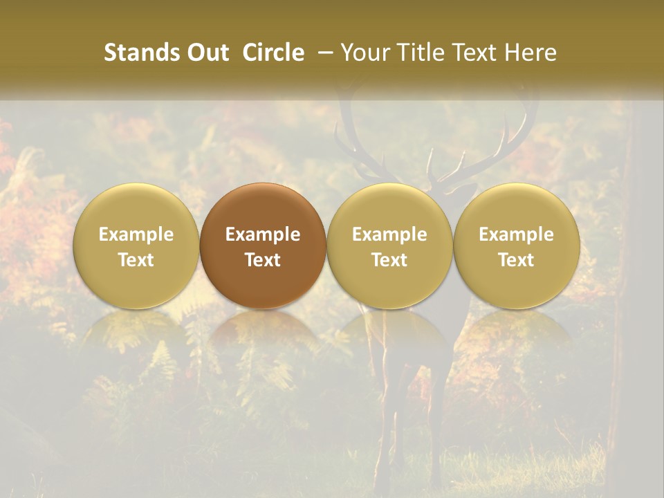A Deer Standing In The Middle Of A Forest PowerPoint Template