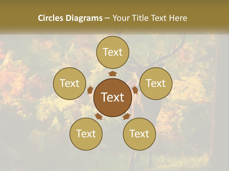 A Deer Standing In The Middle Of A Forest PowerPoint Template