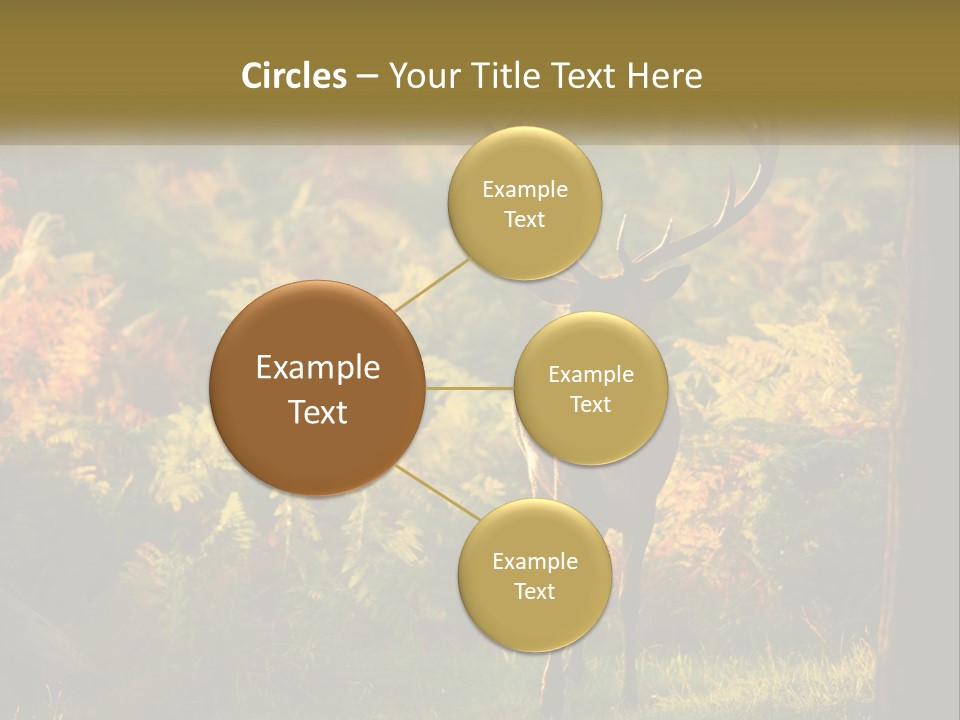 A Deer Standing In The Middle Of A Forest PowerPoint Template