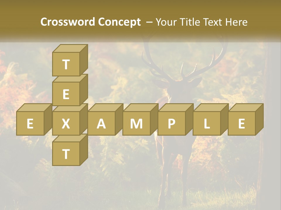 A Deer Standing In The Middle Of A Forest PowerPoint Template