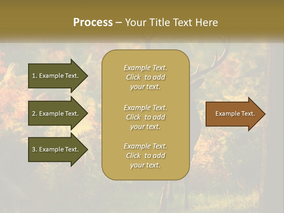 A Deer Standing In The Middle Of A Forest PowerPoint Template