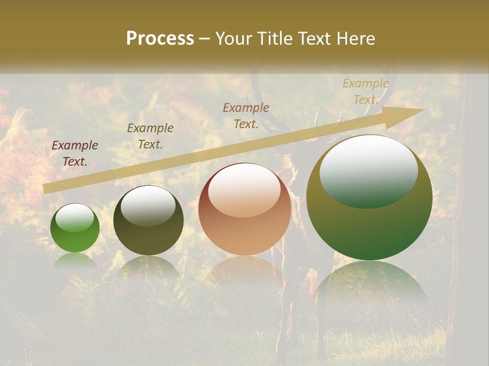 A Deer Standing In The Middle Of A Forest PowerPoint Template