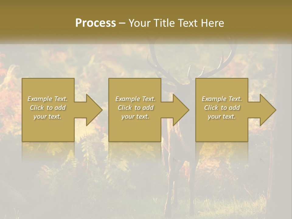 A Deer Standing In The Middle Of A Forest PowerPoint Template