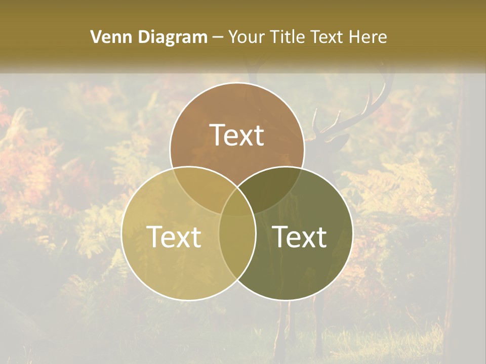 A Deer Standing In The Middle Of A Forest PowerPoint Template