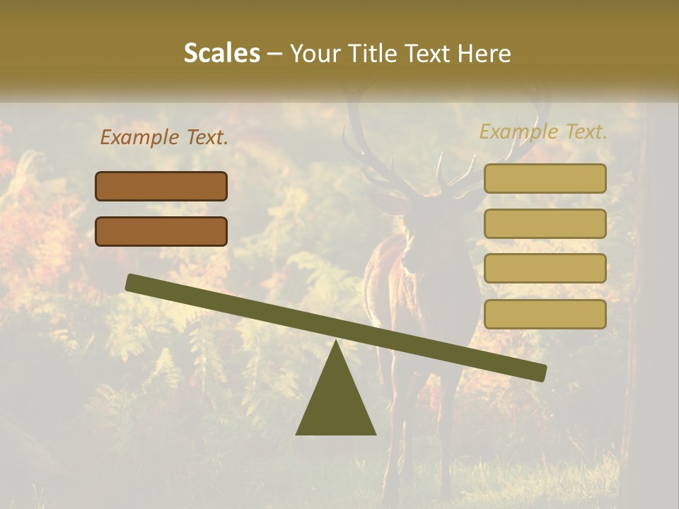 A Deer Standing In The Middle Of A Forest PowerPoint Template