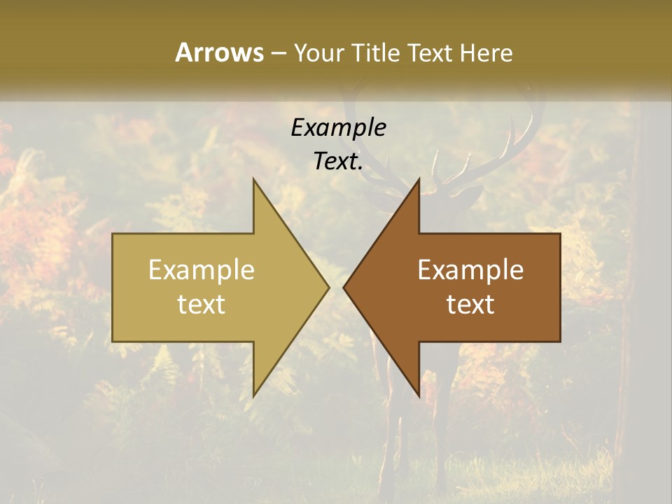 A Deer Standing In The Middle Of A Forest PowerPoint Template