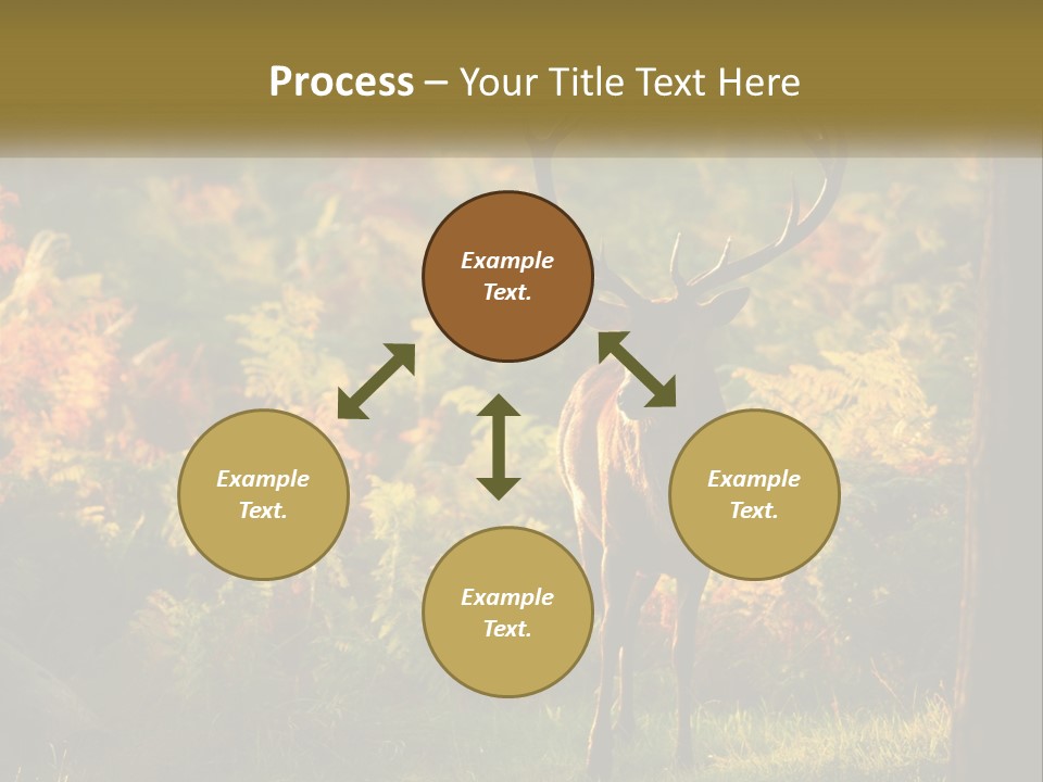 A Deer Standing In The Middle Of A Forest PowerPoint Template