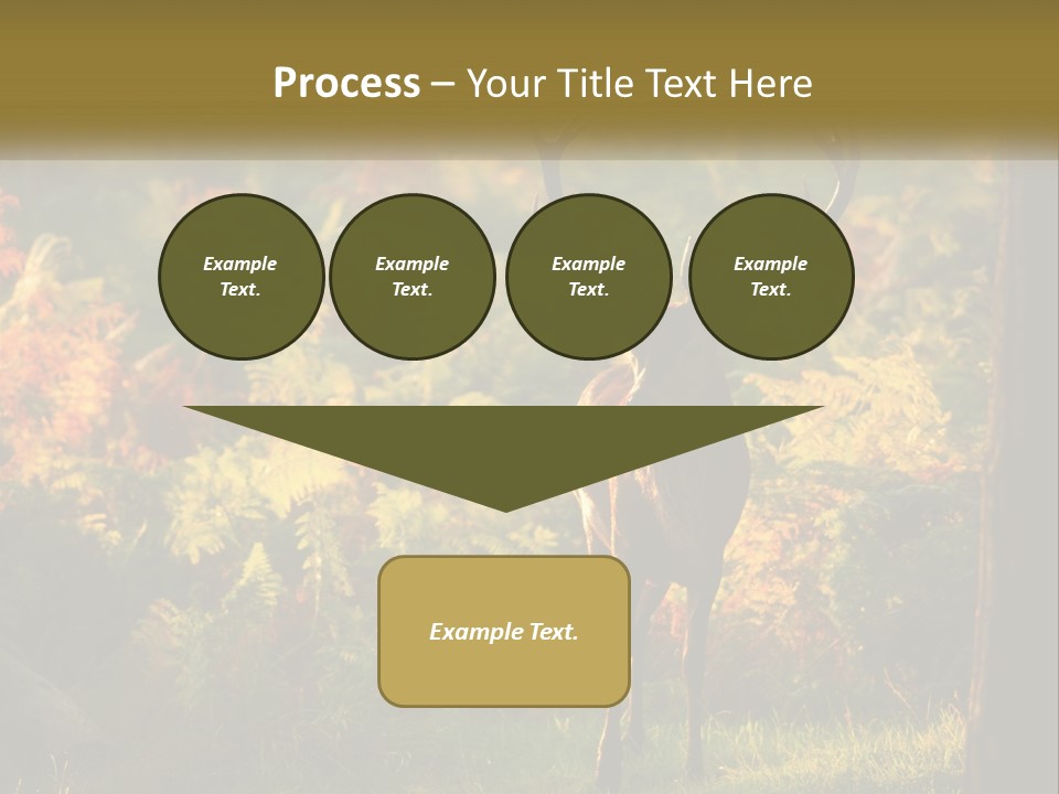 A Deer Standing In The Middle Of A Forest PowerPoint Template