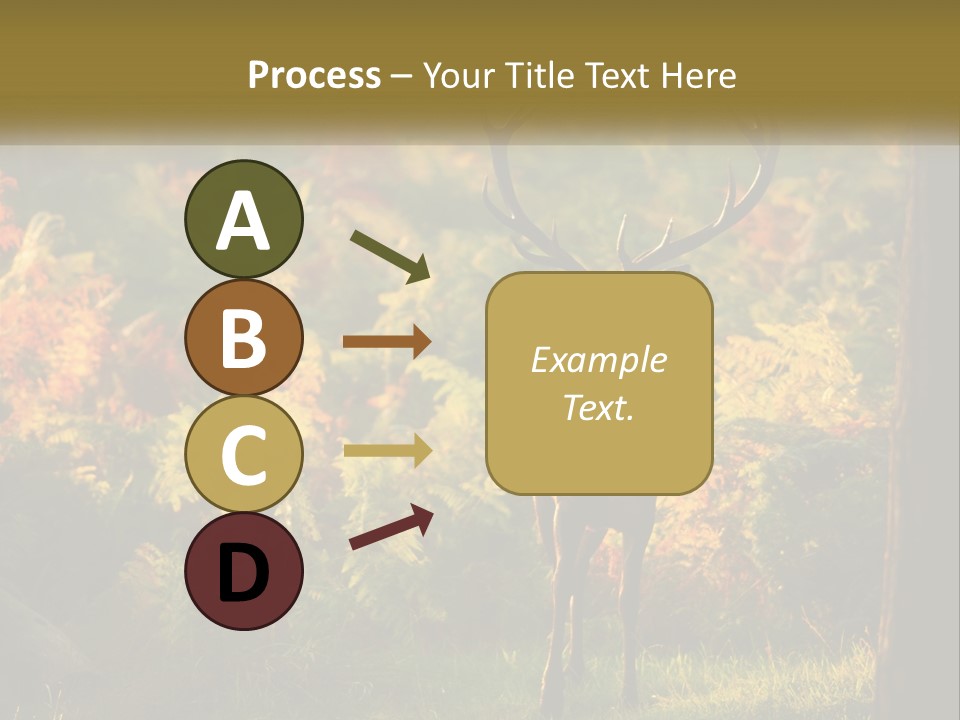 A Deer Standing In The Middle Of A Forest PowerPoint Template