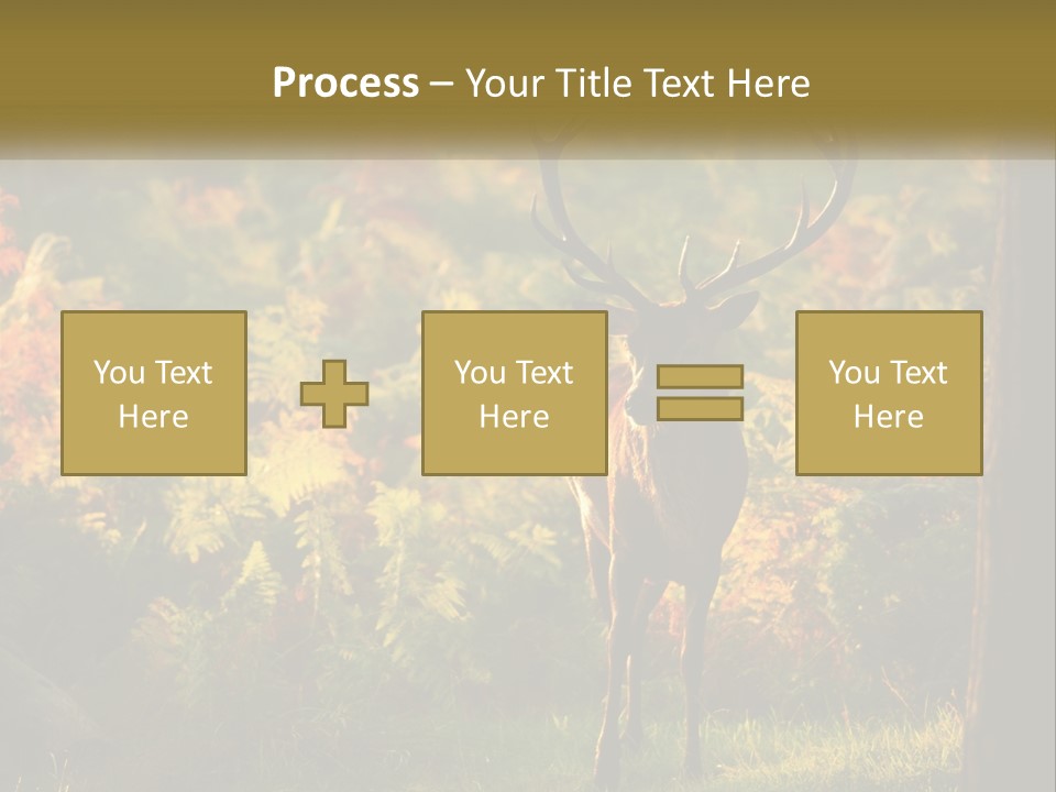 A Deer Standing In The Middle Of A Forest PowerPoint Template