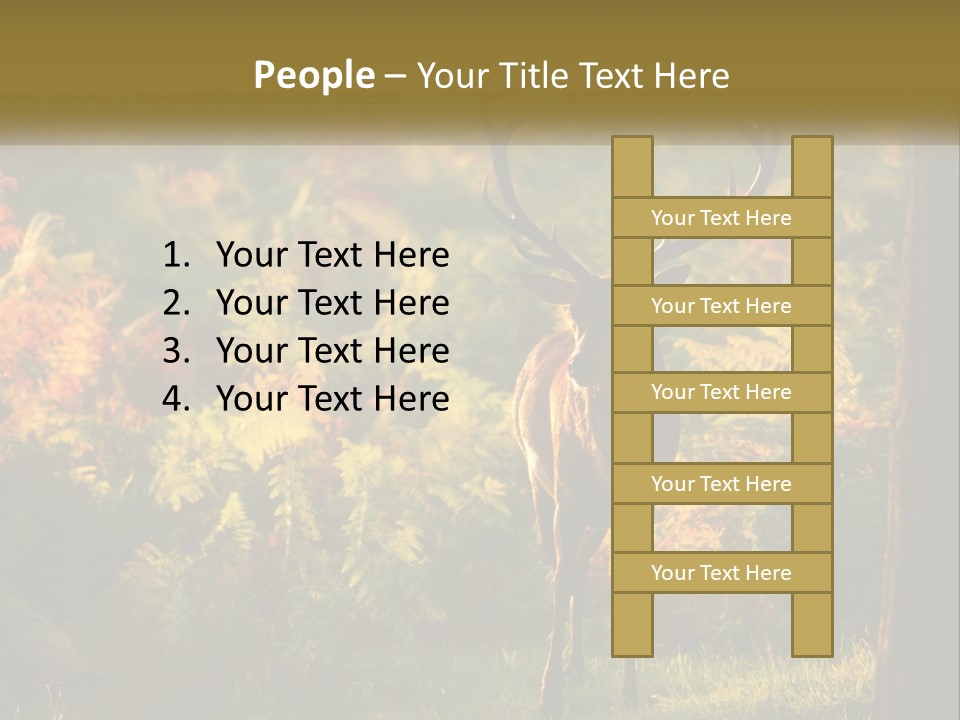 A Deer Standing In The Middle Of A Forest PowerPoint Template