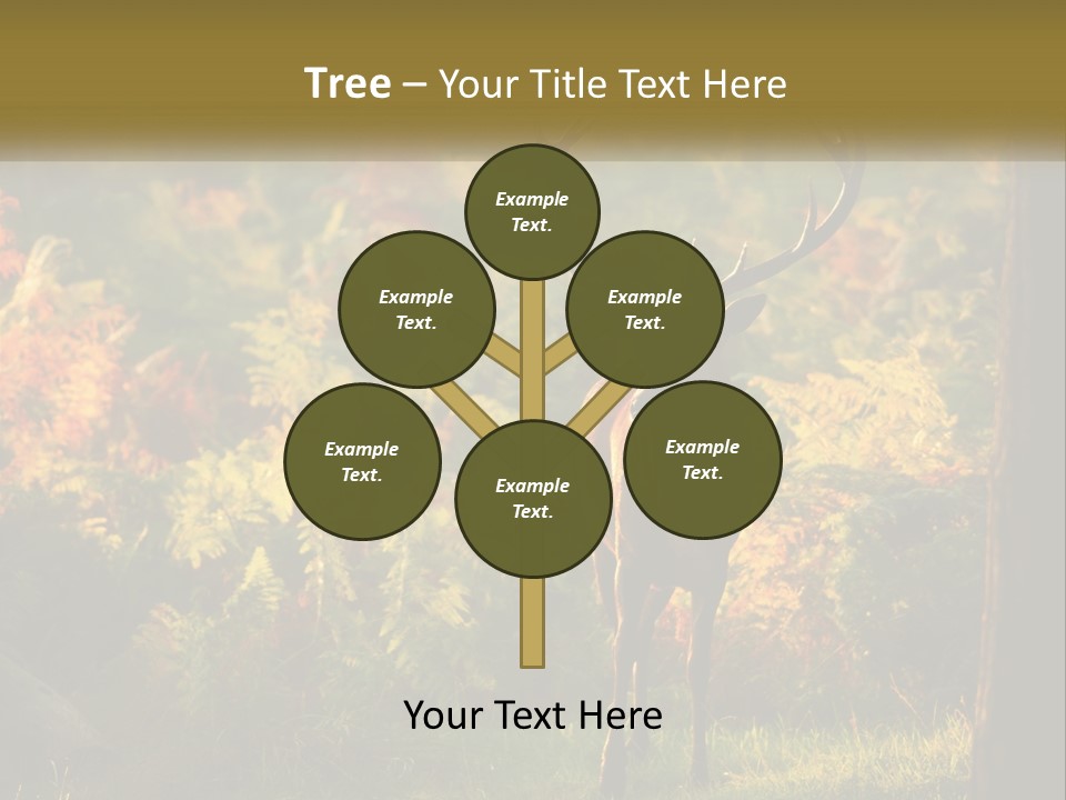 A Deer Standing In The Middle Of A Forest PowerPoint Template