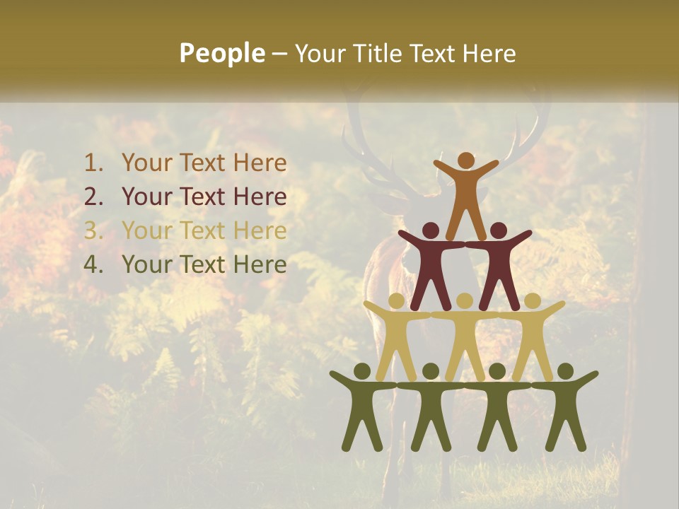 A Deer Standing In The Middle Of A Forest PowerPoint Template