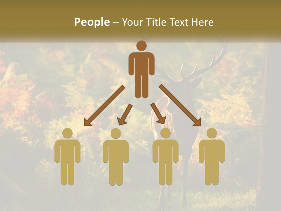 A Deer Standing In The Middle Of A Forest PowerPoint Template