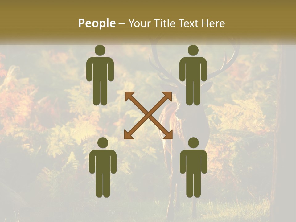 A Deer Standing In The Middle Of A Forest PowerPoint Template