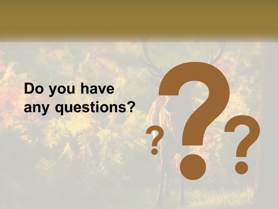 A Deer Standing In The Middle Of A Forest PowerPoint Template