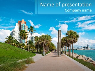 A Walkway With Palm Trees And A Body Of Water In The Background PowerPoint Template