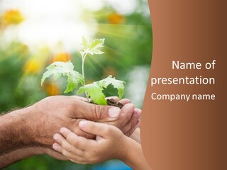 A Man Holding A Small Plant In His Hands PowerPoint Template