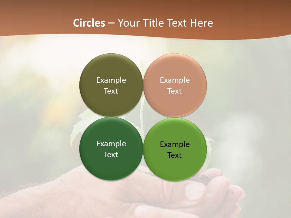 A Man Holding A Small Plant In His Hands PowerPoint Template