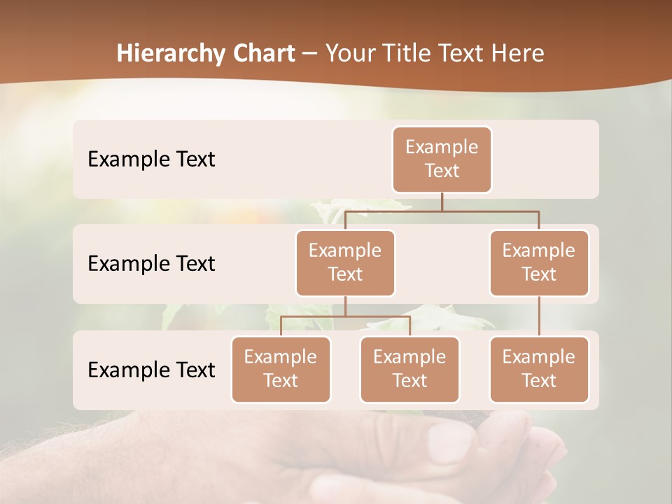 A Man Holding A Small Plant In His Hands PowerPoint Template