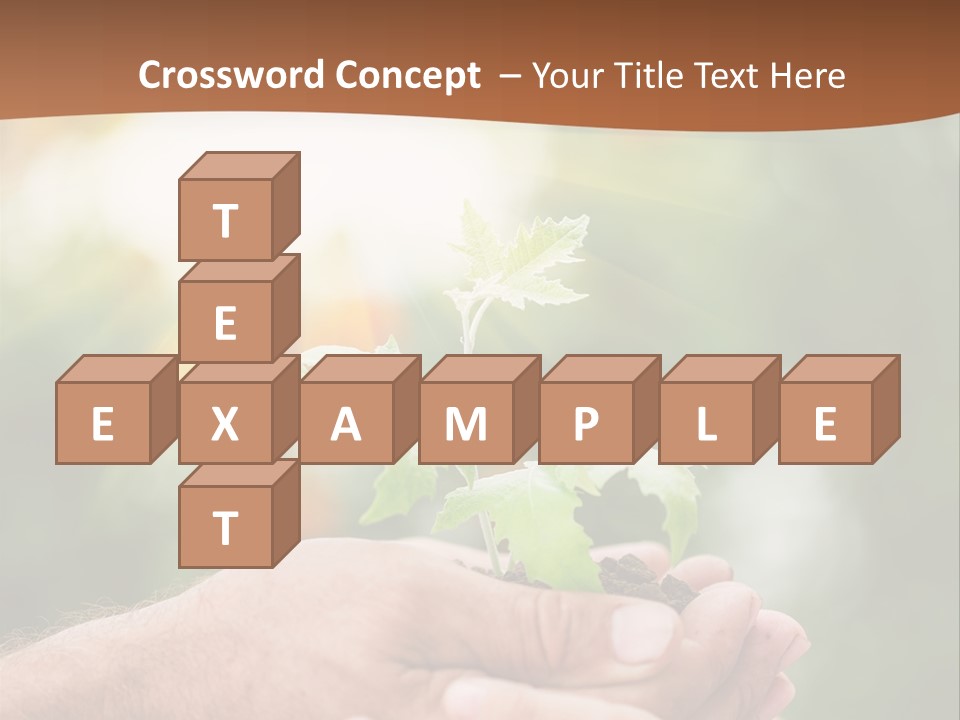 A Man Holding A Small Plant In His Hands PowerPoint Template