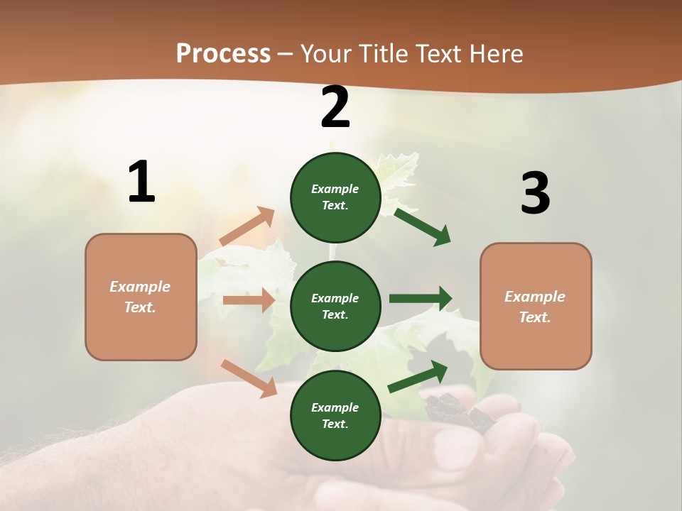 A Man Holding A Small Plant In His Hands PowerPoint Template