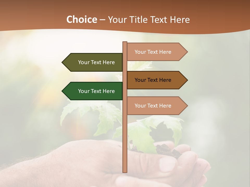 A Man Holding A Small Plant In His Hands PowerPoint Template