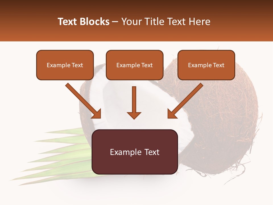 A Coconut With A Piece Of Coconut On Top Of It PowerPoint Template
