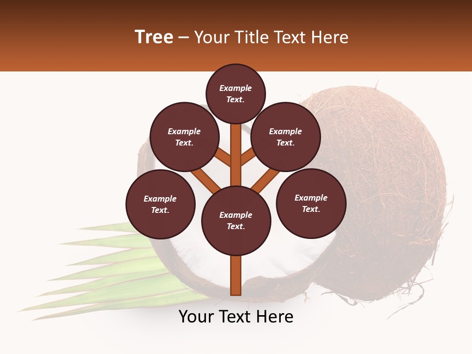 A Coconut With A Piece Of Coconut On Top Of It PowerPoint Template