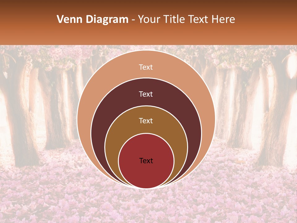 A Beautiful Pink Flowered Path With Trees In The Background PowerPoint Template