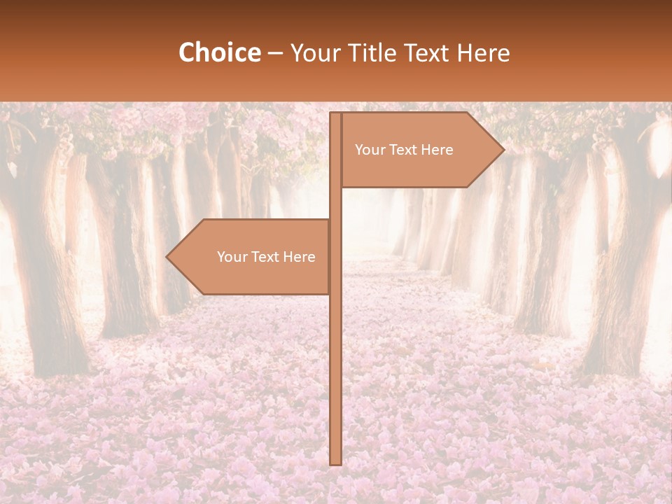 A Beautiful Pink Flowered Path With Trees In The Background PowerPoint Template