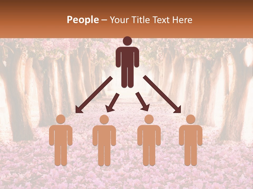 A Beautiful Pink Flowered Path With Trees In The Background PowerPoint Template