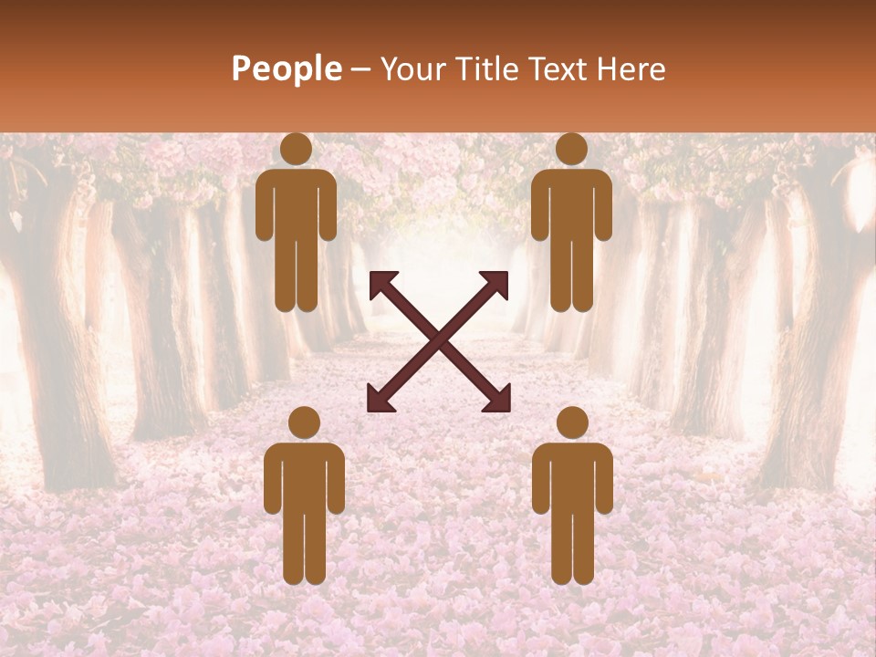 A Beautiful Pink Flowered Path With Trees In The Background PowerPoint Template