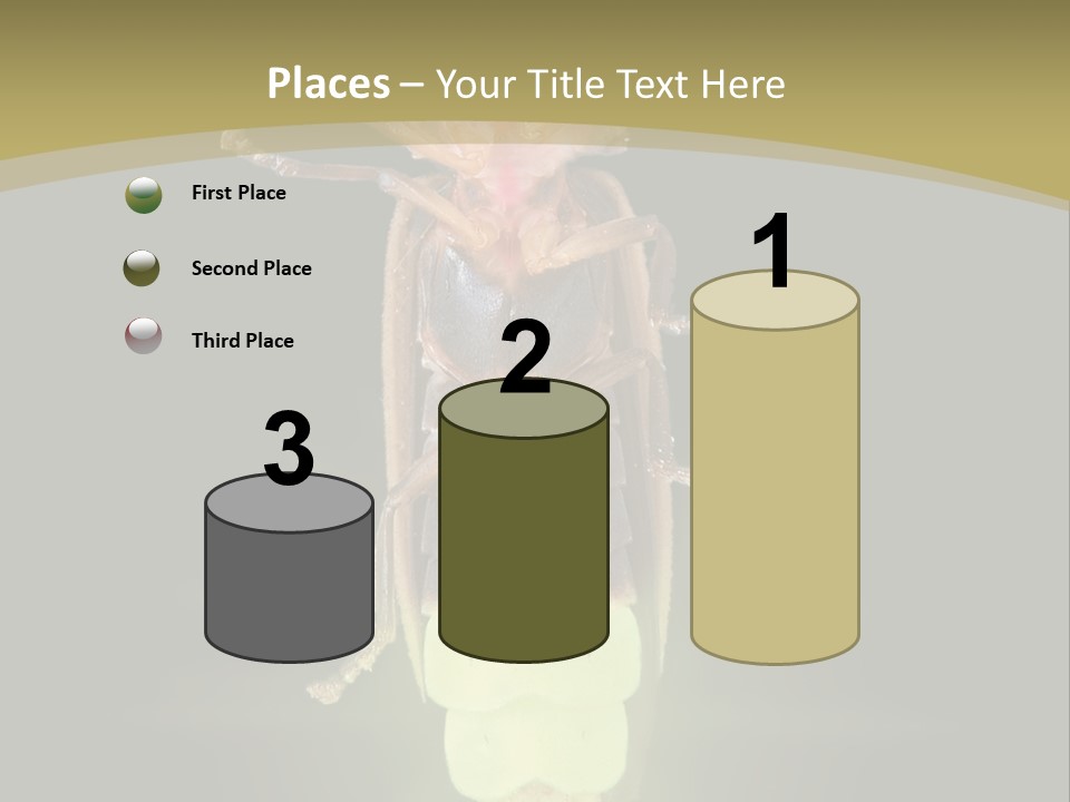 A Bug With A Light Shining On It's Back PowerPoint Template
