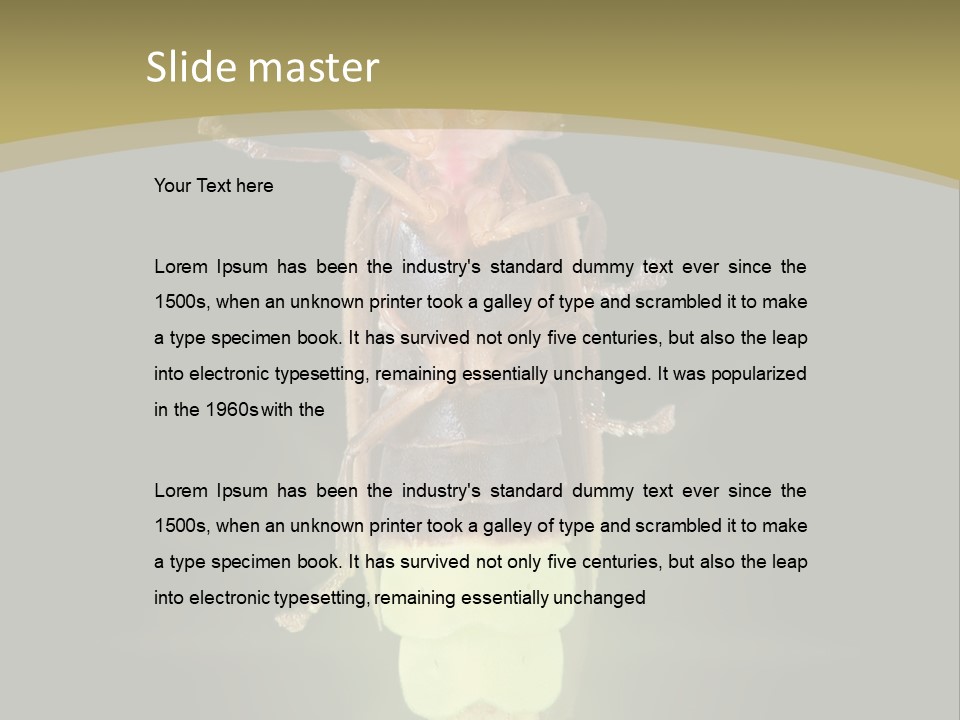 A Bug With A Light Shining On It's Back PowerPoint Template