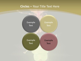 A Bug With A Light Shining On It's Back PowerPoint Template