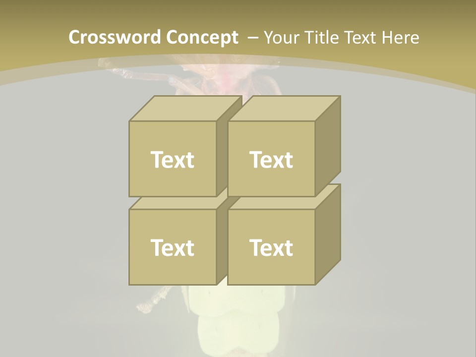 A Bug With A Light Shining On It's Back PowerPoint Template