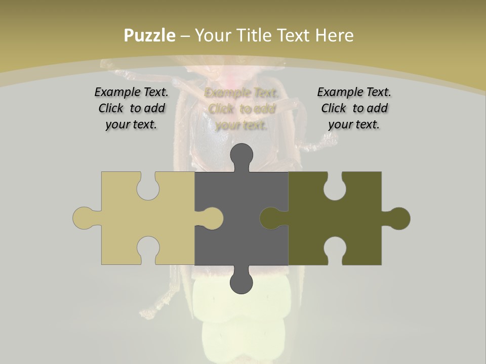 A Bug With A Light Shining On It's Back PowerPoint Template