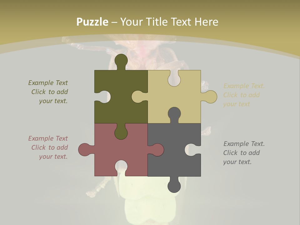 A Bug With A Light Shining On It's Back PowerPoint Template